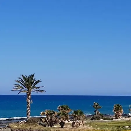 Metaxoula